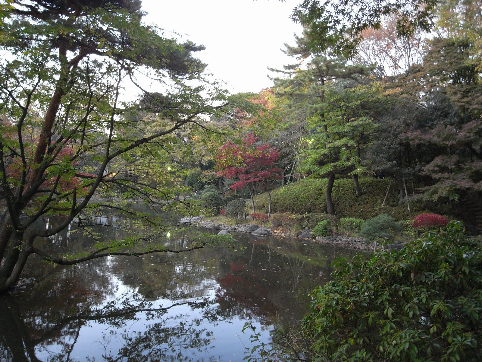 Kichijoji: Stylish Nature Stroll