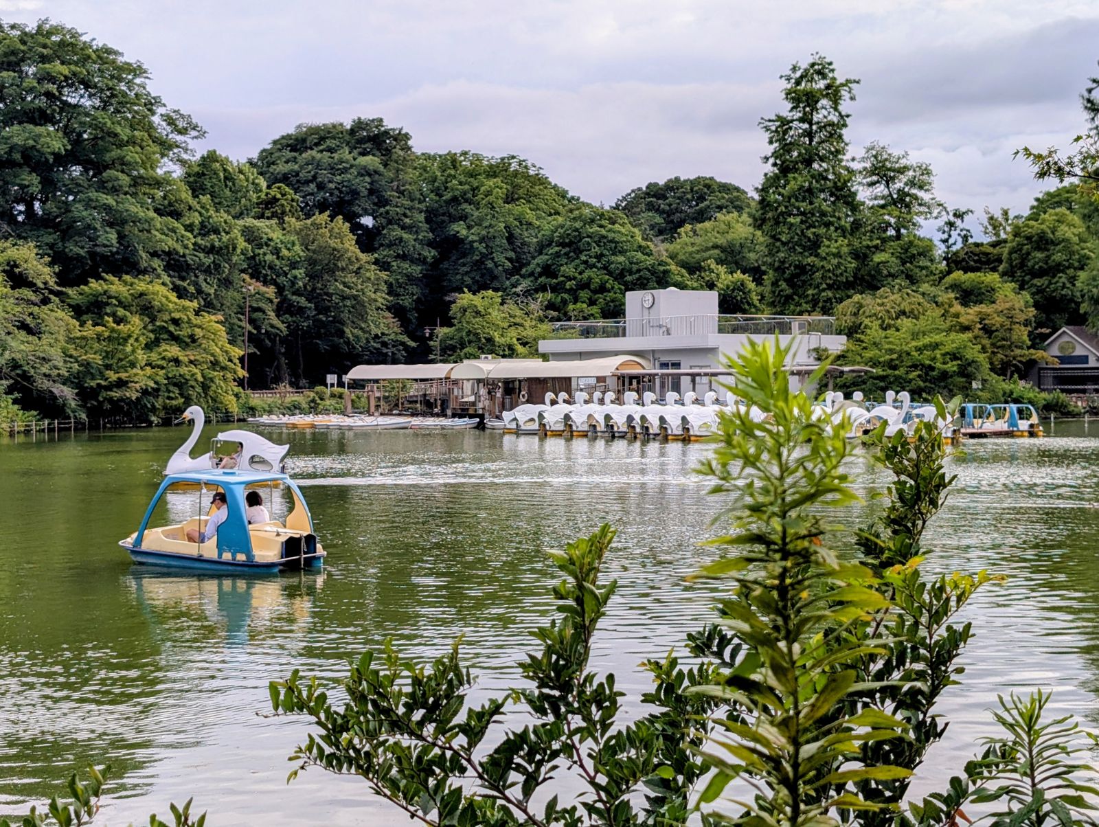 Swan boat rides on Inokashira Pond
