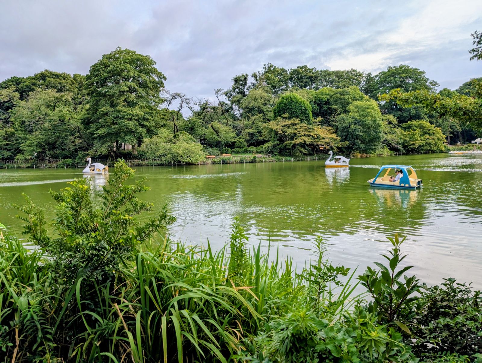 Kichijoji - Japan's most desirable neighborhood with Inokashira Park and stylish streets